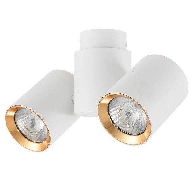 Light Prestige griestu lampa Boston 2 White/Gold цена и информация | Griestu lampas | 220.lv