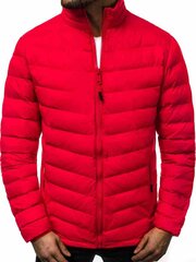 Куртка мужская стеганая красная Revar цена и информация | Мужские куртки | 220.lv
