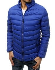 Мужская куртка Siter, синяя цена и информация | Мужские куртки | 220.lv