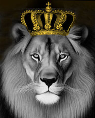 Набор для рисования картины - живопись по номерам ТМ TSVETNOY MG2146e Король лев 40x50 см цена и информация | Живопись по номерам | 220.lv