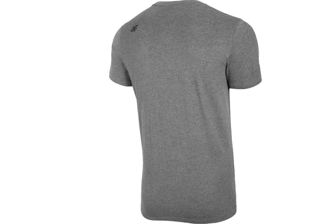 Vīriešu T-krekls 4F H4L20-TSM003 цена и информация | Sporta apģērbs vīriešiem | 220.lv