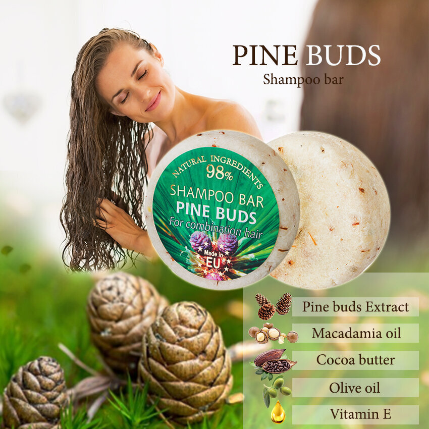 Cietais šampūns PINE BUDS Saules Fabrika 60 g cena un informācija | Šampūni | 220.lv