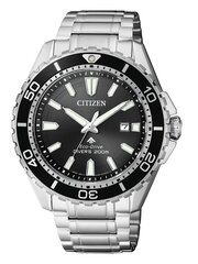 Мужские часы Citizen BN0190-82E цена и информация | Мужские часы | 220.lv