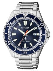 Мужские часы Citizen_BN0191-80L цена и информация | Мужские часы | 220.lv