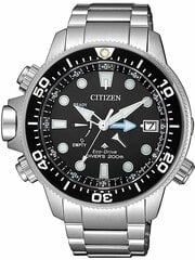 Vīriešu pulkstenis Citizen_BN2031-85E cena un informācija | Vīriešu pulksteņi | 220.lv