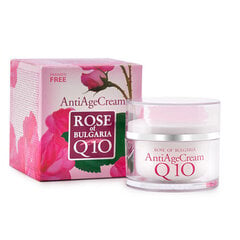 Sejas ādas krēms pret grumbām ar koenzīmu Q10 un rožu ūdeni BioFresh Rose Of Bulgaria (Anti-Age Cream) 50 ml cena un informācija | Sejas krēmi | 220.lv