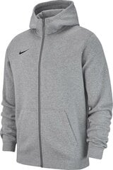 Толстовка для мальчиков Nike Team Club 19 AJ1458 063, серая цена и информация | Свитеры, жилетки, пиджаки для мальчиков | 220.lv