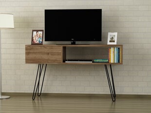 ТВ столик Lara, коричневый цена и информация | Тумбы под телевизор | 220.lv