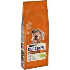 Purina Dog Chow корм для взрослых собак, с бараниной, 14кг цена и информация |  Сухой корм для собак | 220.lv