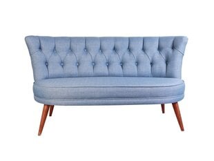 Mīksts sols Artie Richland Loveseat, gaiši zils цена и информация | Диваны | 220.lv