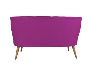 Mīksts sols Artie Richland Loveseat, violets цена и информация | Диваны | 220.lv