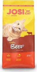 JosiCat с вкусной говядиной Tasty Beef, 10 кг цена и информация | Сухой корм для кошек | 220.lv