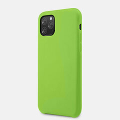 Silikona telefona vāciņš paredzēts iPhone 11 Pro, zaļš cena un informācija | Telefonu vāciņi, maciņi | 220.lv