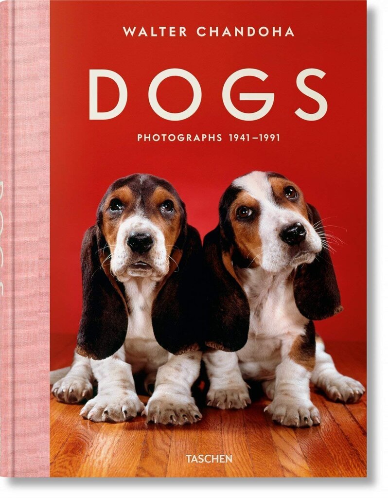 Walter Chandoha. Dogs. Photographs 1941-1991 cena un informācija | Enciklopēdijas, uzziņu literatūra | 220.lv