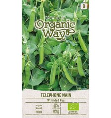 Горох морщинистый Nain Organic Way 8,0 г цена и информация | Семена овощей, ягод | 220.lv