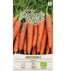 GALDA BURKĀNI ORGANIC WAY AMSTERDAM 2 cena un informācija | Dārzeņu, ogu sēklas | 220.lv