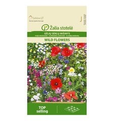 Цветочная смесь Wild Flowers Žalia stotelė 10,0 г цена и информация | Семена цветов | 220.lv