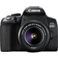 Canon EOS 850D 18-55mm III цена и информация | Digitālās fotokameras | 220.lv