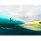 SUP dēlis un piederumi Aquatone Wave 10.0 цена и информация | SUP dēļi, sērfa dēļi un piederumi | 220.lv