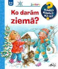 Kādēļ? Kāpēc? Kā tā? Ko darām ziemā? cena un informācija | Enciklopēdijas, uzziņu literatūra | 220.lv