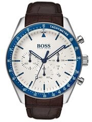 Vīriešu pulkstenis Hugo Boss cena un informācija | Vīriešu pulksteņi | 220.lv