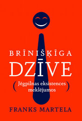 Brīnišķīga dzīve. Jēgpilnas eksistences meklējumos цена и информация | Самоучители | 220.lv