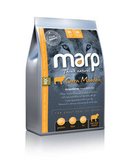 Сухой корм Marp Think Natural Green Mountains - Ягненок, 2 кг цена и информация | Сухой корм для собак | 220.lv