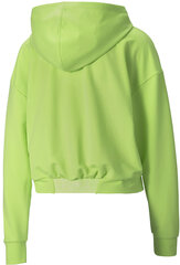 Vīriešu džemperis Puma Modern Sports Hoodie Sharp Green cena un informācija | Vīriešu jakas | 220.lv