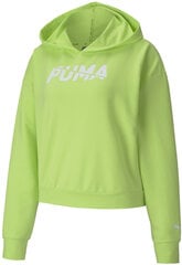 Vīriešu džemperis Puma Modern Sports Hoodie Sharp Green цена и информация | Мужские толстовки | 220.lv