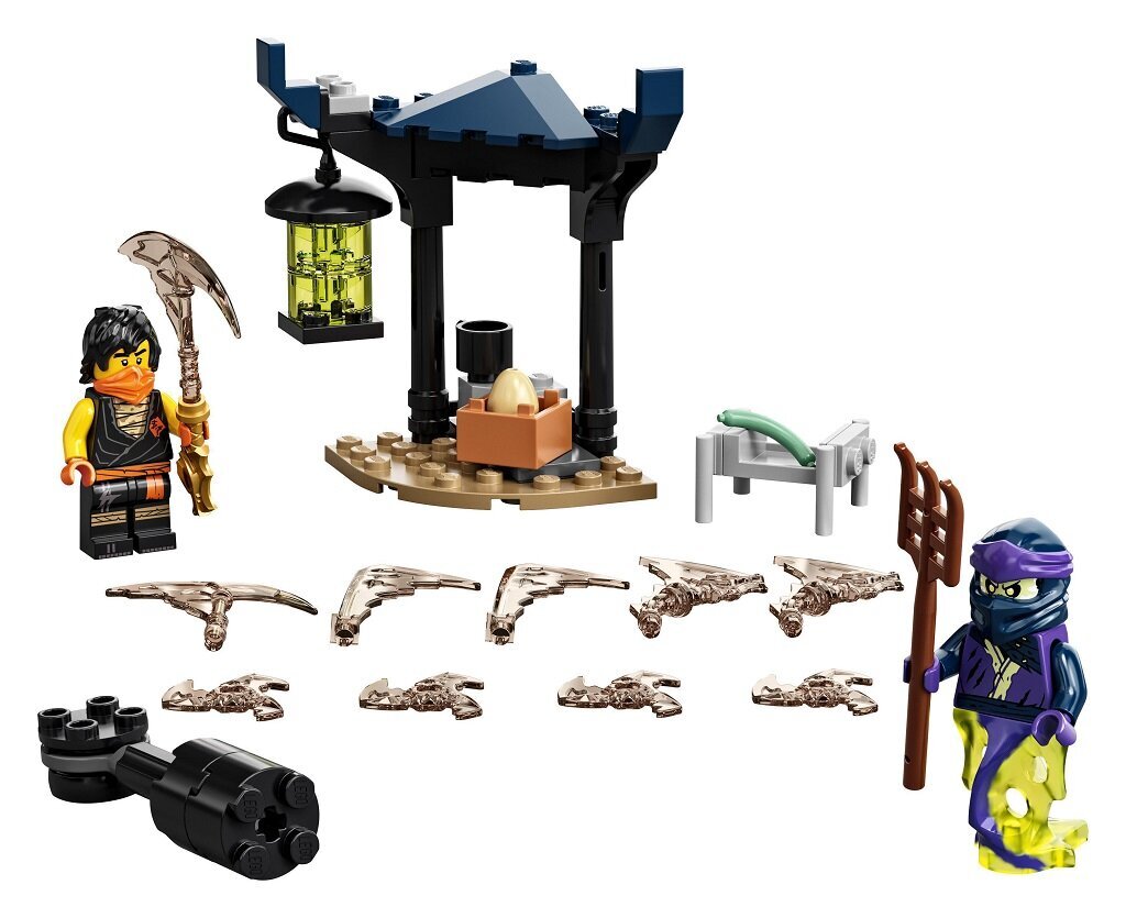 71733 LEGO® NINJAGO Cole pret rēgu kareivi цена и информация | Konstruktori | 220.lv