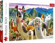 Puzle Trefl Premium Quality Lamas kalnos, 500 d. cena un informācija | Puzles, 3D puzles | 220.lv