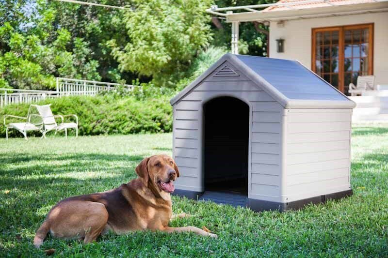 Suņa būda Dog House 95x99x99cm pelēka цена и информация | Suņu gultas, spilveni, būdas | 220.lv