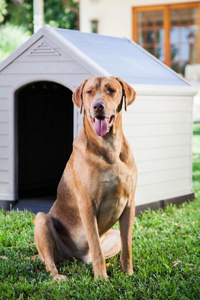 Suņa būda Dog House 95x99x99cm pelēka cena un informācija | Suņu gultas, spilveni, būdas | 220.lv