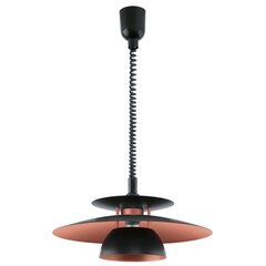 Eglo lampa Brenda 31666 cena un informācija | Lustras | 220.lv