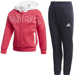 Adidas Cпортивные костюмы Lk Fz Hdy Set Blue Pink цена и информация | Комплекты для девочек | 220.lv