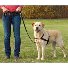 Подтяжки для собак Trixie Lead Walk Soft, L-XL, 65-105см цена и информация | Ошейники, подтяжки для собак | 220.lv