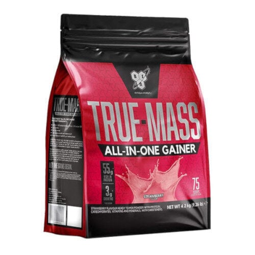 Uztura bagātinātājs BSN True Mass 4200 g., Vanilla Ice cream Flavour cena un informācija | Uztura bagātinātāji, preparāti muskuļu masas palielināšanai | 220.lv