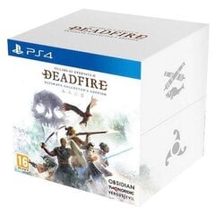 Pillars of Eternity II Deadfire ED PS4 цена и информация | Компьютерные игры | 220.lv