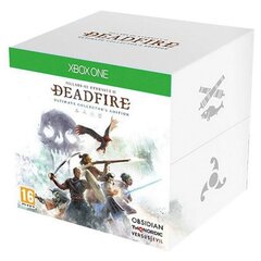 Pillars of Eternity II Deadfire ED XboxOne cena un informācija | Datorspēles | 220.lv