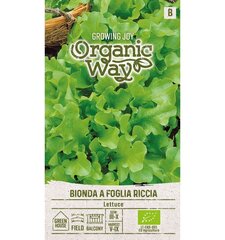 DĀRZA SALĀTI ORGANIC WAY BIONDA A FOGLIA RICCIA cena un informācija | Dārzeņu, ogu sēklas | 220.lv