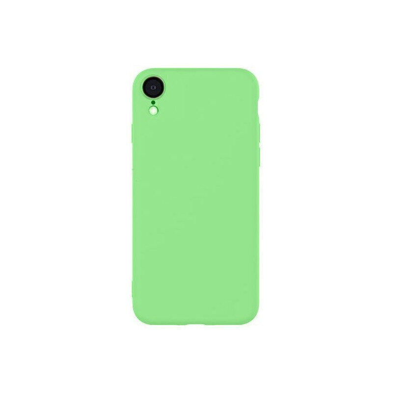 Evelatus Soft Silicone Case, paredzēts Apple iPhone XR, zaļš cena un informācija | Telefonu vāciņi, maciņi | 220.lv