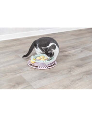 Trixie игрушка для кота Junior Circle, 24 см цена и информация | Игрушки для кошек | 220.lv