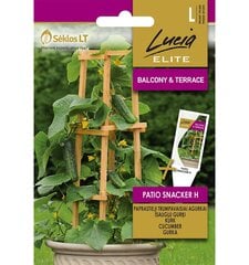 Огурцы обычные Patio Snacker H Lucia Elite с короткими плодами, 10 шт. семян цена и информация | Lucia Elite Товары для сада | 220.lv