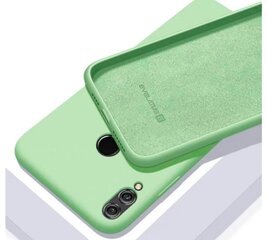 Evelatus Soft Silicone Case, piemērots Samsung Galaxy S10, piparmētras cena un informācija | Telefonu vāciņi, maciņi | 220.lv