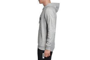 Džemperis vīriešiem Adidas Brilliant Basics Hoodie EI4621 cena un informācija | Vīriešu jakas | 220.lv