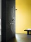 Hansgrohe Ecostat Comfort termostata dušas jaucējkrāns, Matt Black, 13116670 cena un informācija | Jaucējkrāni | 220.lv