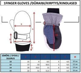 Перчатки для мальчиков JO!CLUB RN-030 цена и информация | Зимняя одежда для детей | 220.lv