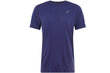Vīriešu T-krekls Asics Gel-Cool SS Tee цена и информация | Sporta apģērbs vīriešiem | 220.lv