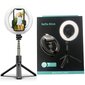 Hallo Vlogging Tripod Selfie tripods ar LED lampu / Tripod Statnis / Bluetooth Tālvadības pults / Melns cena un informācija | Selfie Sticks | 220.lv