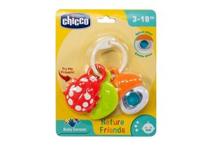 Погремушка -прорезыватель для зубов Друзья природы Chicco цена и информация | Игрушки для малышей | 220.lv